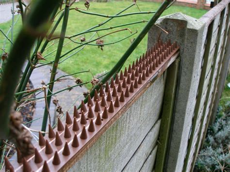 cat fence climbing deterrent